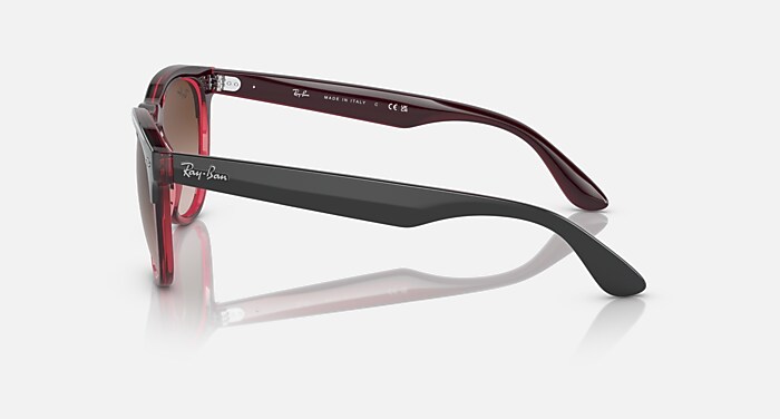 Ray-Ban Sunglasses Unisex Iris - Grey On Transparent Red Frame Brown Lenses 54-18