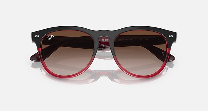 Ray-Ban Sunglasses Unisex Iris - Grey On Transparent Red Frame Brown Lenses 54-18
