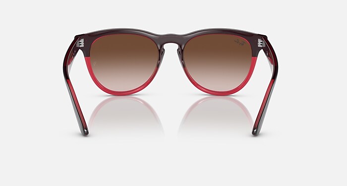 Ray-Ban Sunglasses Unisex Iris - Grey On Transparent Red Frame Brown Lenses 54-18