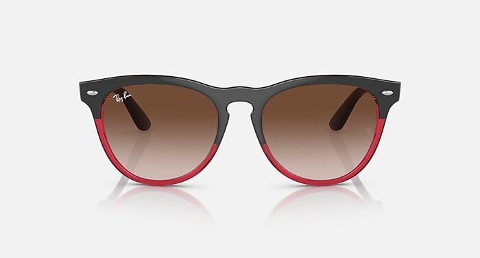 Ray-Ban Sunglasses Unisex Iris - Grey On Transparent Red Frame Brown Lenses 54-18