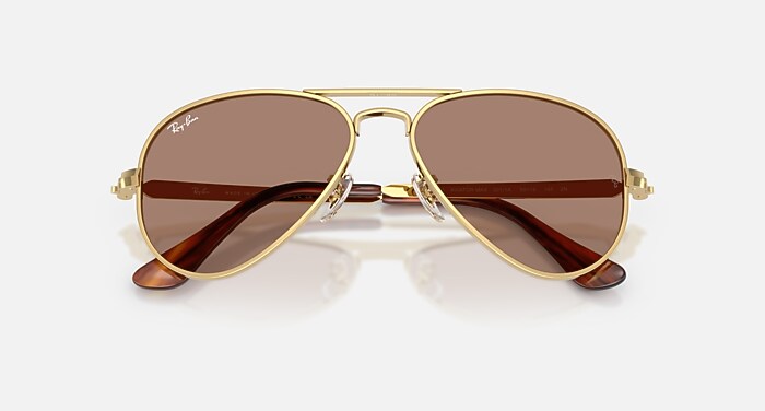 AVIATOR MAX HOLIDAY LIMITED Sunglasses in Gold and Light Violet
