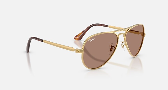 AVIATOR MAX HOLIDAY LIMITED Sunglasses in Gold and Light Violet