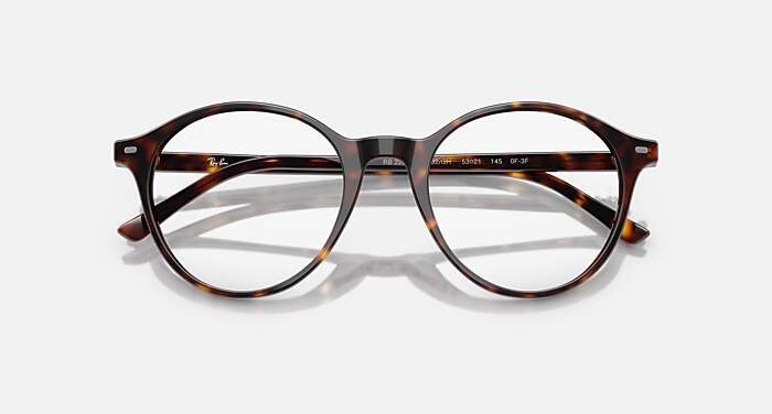 RB2230 TRANSITIONS® Sunglasses in Havana and Transitions 8 Grey