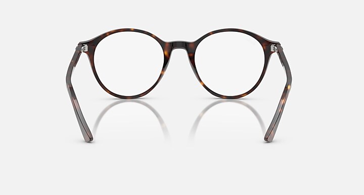 Ray-Ban 0RB2230F BERNARD TRANSITIONS® 抛光 哈瓦那 SUN_Back