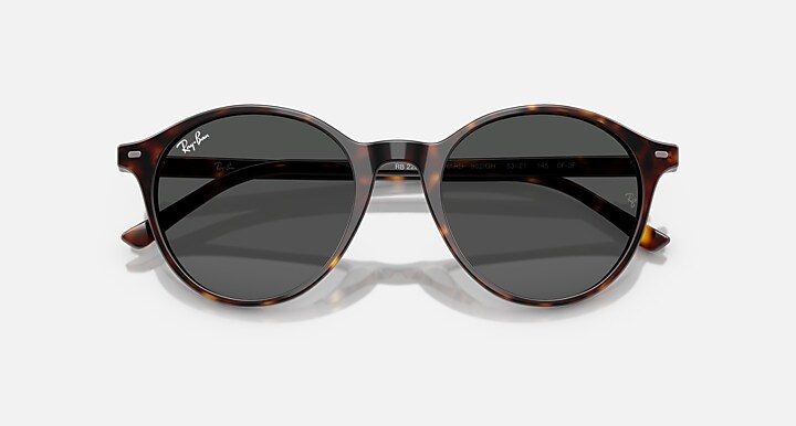 Ray-Ban 0RB2230F BERNARD TRANSITIONS® 抛光 哈瓦那 SUN_Alternative