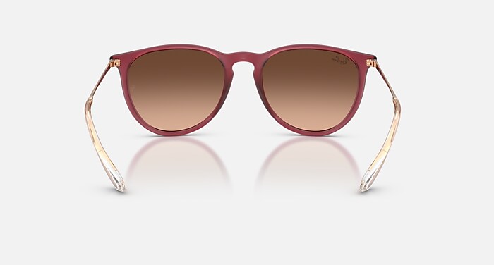 ERIKA CLASSIC Sunglasses in Transparent Dark Brown and Brown