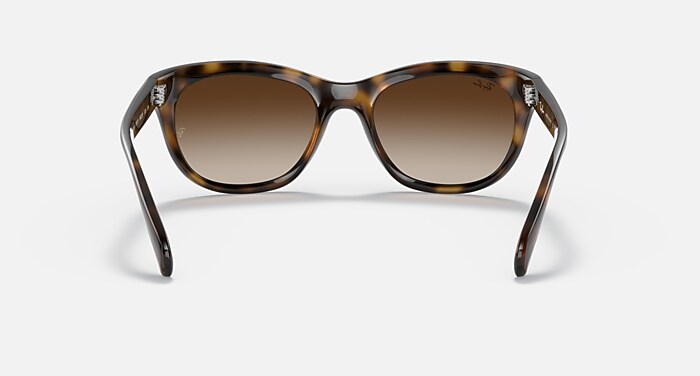 Light Havana Sunglasses in Brown Gradient and RB4216  display picture 3