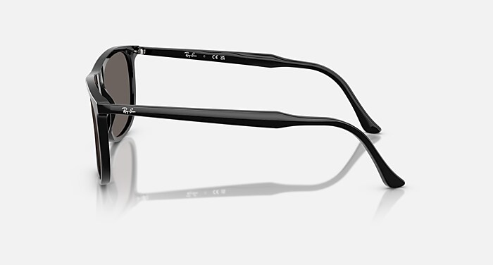 新品 正規品Ray-Ban ブラックフレーム サングラス レイバン公式ストア】 Ray-Ban® RB2216 サングラス | ブラック X