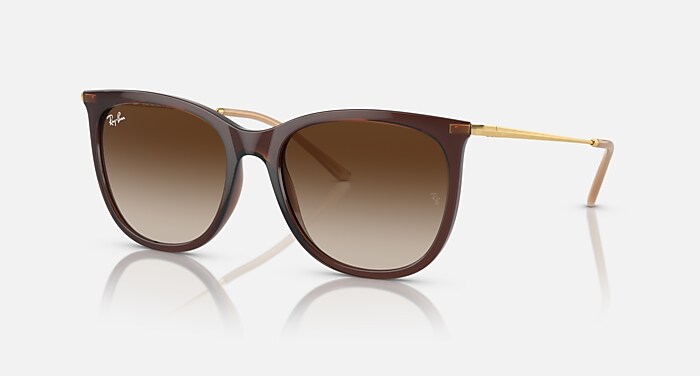 Óculos de Sol RB4403 em Marrom translúcido e Marrom RB4403L