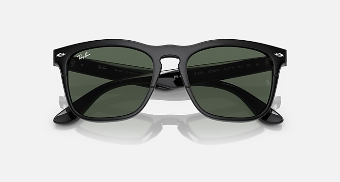 レイバン公式ストア】 Ray-Ban® STEVE サングラス | ブラック X