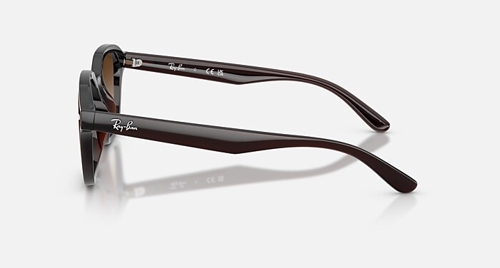 Check out the Rb4458d at ray-ban.com