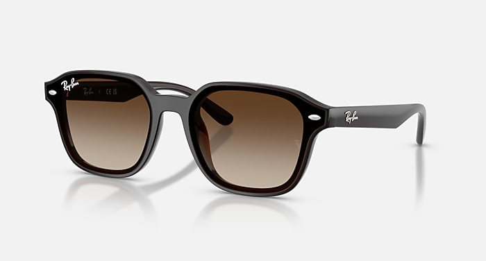 Sunglasses Ray Ban Marrone Sfumato Occhiali Da Sole ERIK In