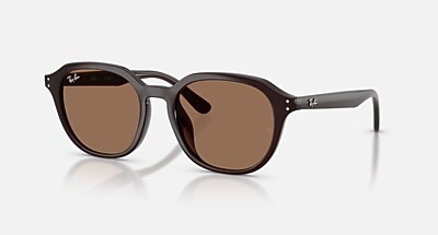 RB4459D Sunglasses in Turtledove and Gradient Brown  display picture 2