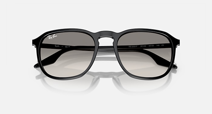 Ray-Ban Sunglasses Unisex Rb2203 - Striped Brown Frame Brown Lenses 55-20