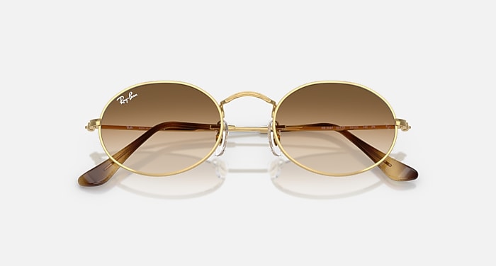 OVAL METAL Sunglasses in Arista Gold and Clear Gradient Brown