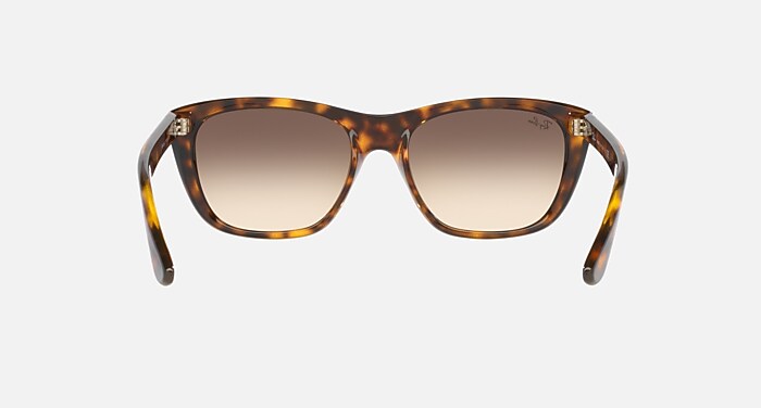RB4154 Sunglasses in Light Havana and Brown - RB4154 | Ray-Ban®