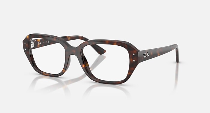 Ray-Ban レイバン 偏光サングラス プレミア生産終了モデル