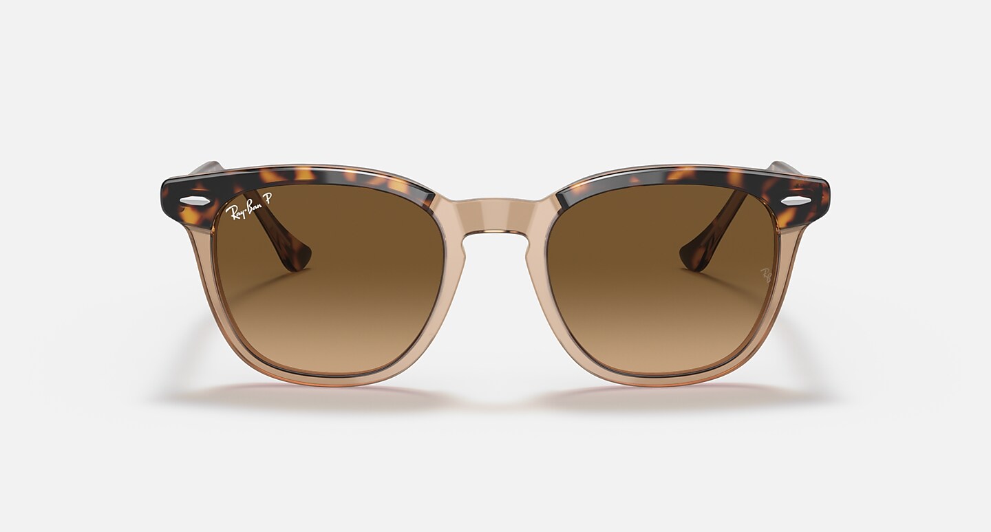 Ray-Ban Sunglasses Hawkeye Havana On Transparent Brown Frame Brown Lenses