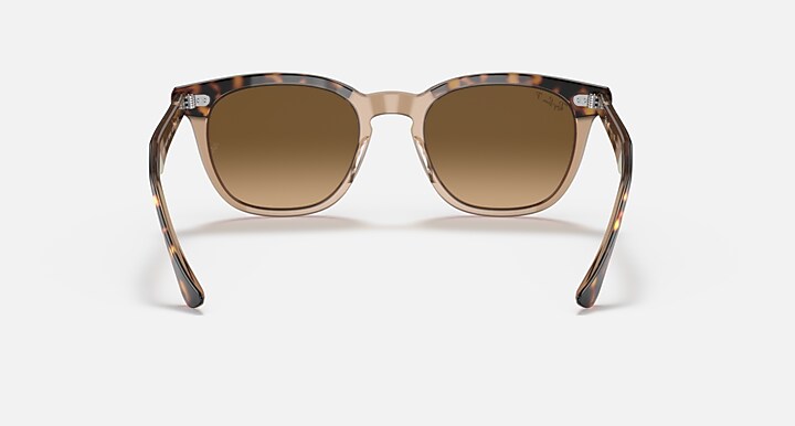 Ray-Ban Sunglasses Hawkeye Havana On Transparent Brown Frame Brown Lenses