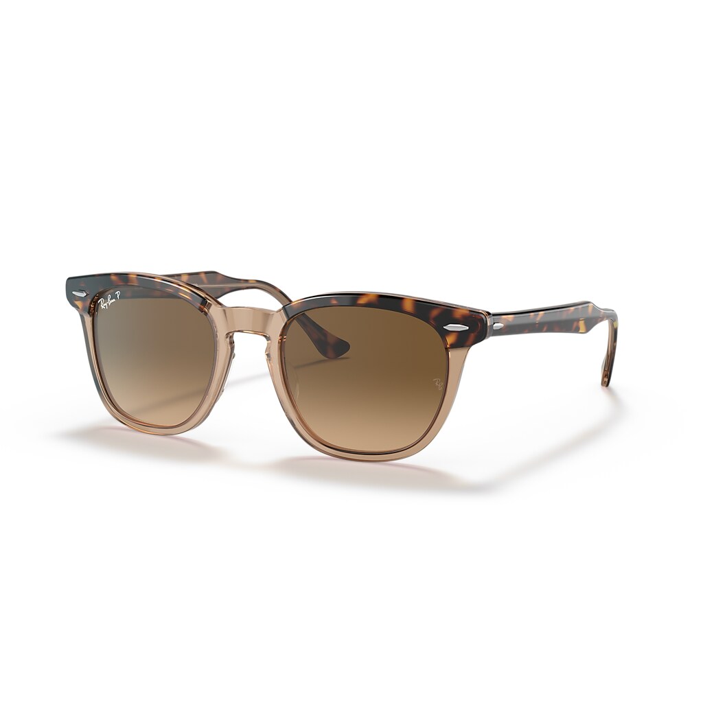Lunettes De Soleil Web WE0266 Havana – Marron – Femme – UV400 – 51/19/140 – Neuf Avec étiquettes