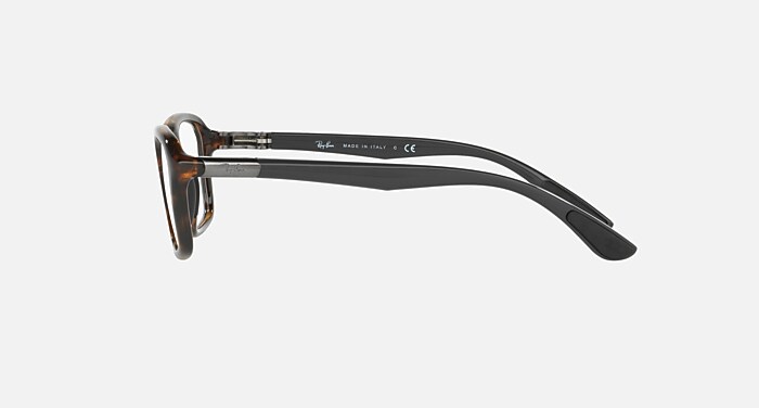 RB8952 OPTICS Eyeglasses with Havana Frame - RB8952 | Ray
