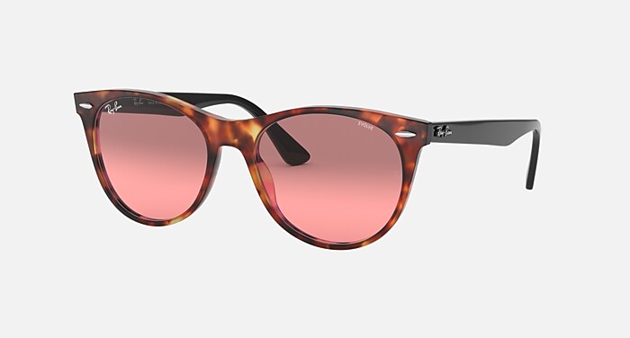 WAYFARER II CLASSIC Sunglasses in Red Havana and Photocromic Red