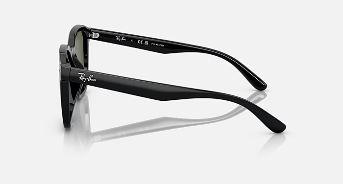 レイバン公式ストア】 Ray-Ban® RB4392D サングラス | ブラック X 