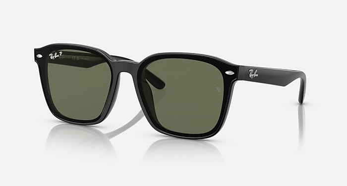 レイバン公式ストア】 Ray-Ban® RB4392D サングラス | ブラック X 