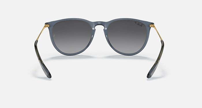 Polarized Erika Ray Bans ? Ray-Ban Erika Classic M (54 - 18) with Brown lenses and  main image 4