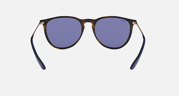 ERIKA COLOR MIX Sunglasses in Havana and Dark Violet Classic