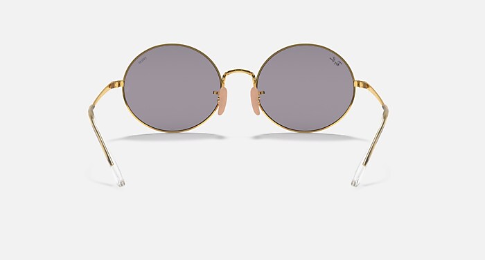 OVAL 1970 MIRROR EVOLVE Sunglasses in Arista Gold and Photo Dark 