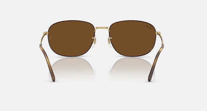 レイバン公式ストア】 Ray-Ban® RB3754 サングラス | マット