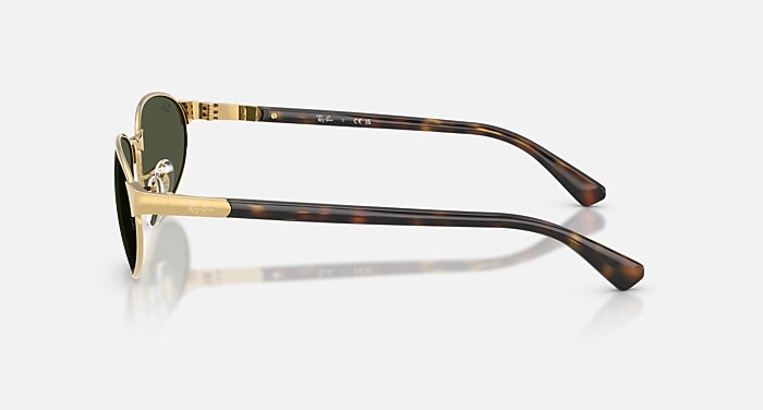 レイバン公式ストア】 Ray-Ban® RB3777 サングラス | アリスタゴールド