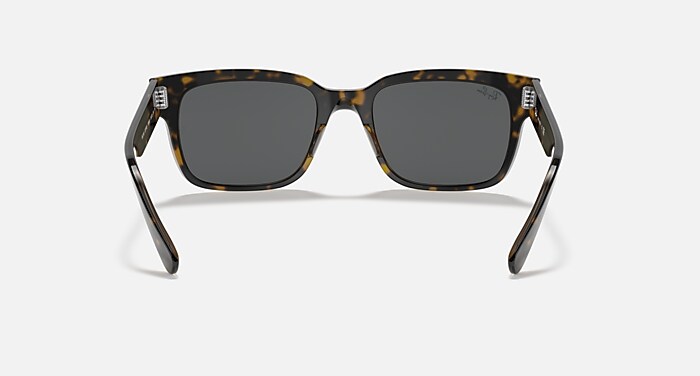 JEFFREY Sunglasses in Havana On Transparent Brown and Dark Grey