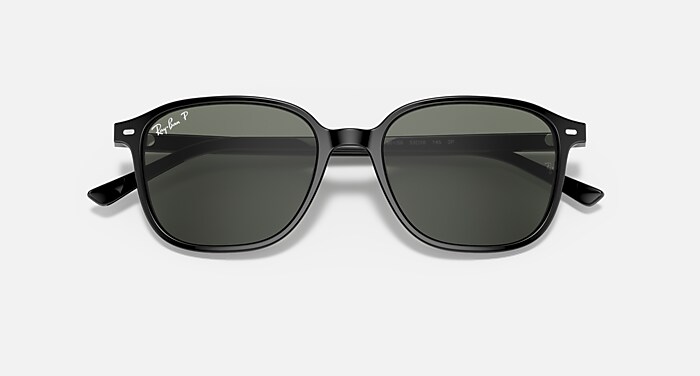 レイバン公式ストア】 Ray-Ban® LEONARD サングラス | ブラック X G-15 