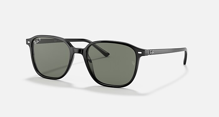 レイバン公式ストア】 Ray-Ban® LEONARD サングラス | ブラック X G-15 