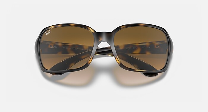 Ray-Ban Sunglasses Rb4068 Tortoise Frame Pink Lenses