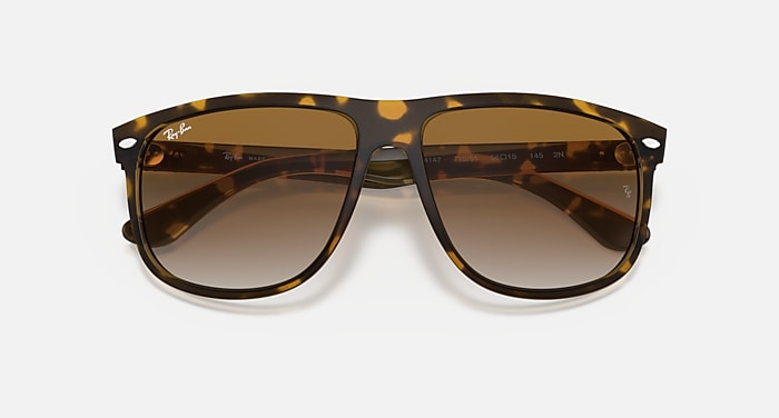 Ray-Ban Sunglasses Boyfriend Green Frame Green Lenses