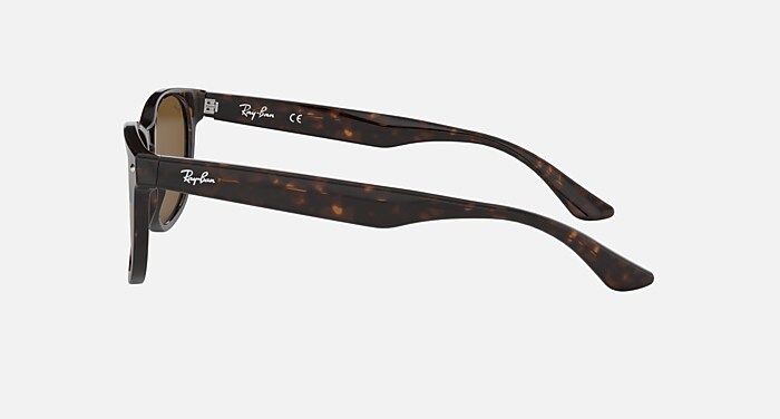RB2184F Sunglasses in Tortoise and B-15 Brown - RB2184F  display picture 1