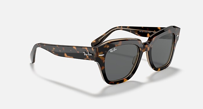 STATE STREET Sunglasses in Havana On Transparent Brown and  display picture 2
