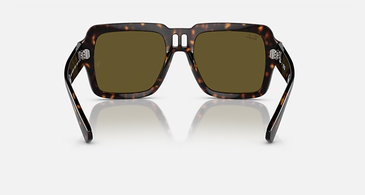 Ray-Ban Sunglasses Unisex Magellan Bio-based - Havana Frame Brown Lenses 54-19