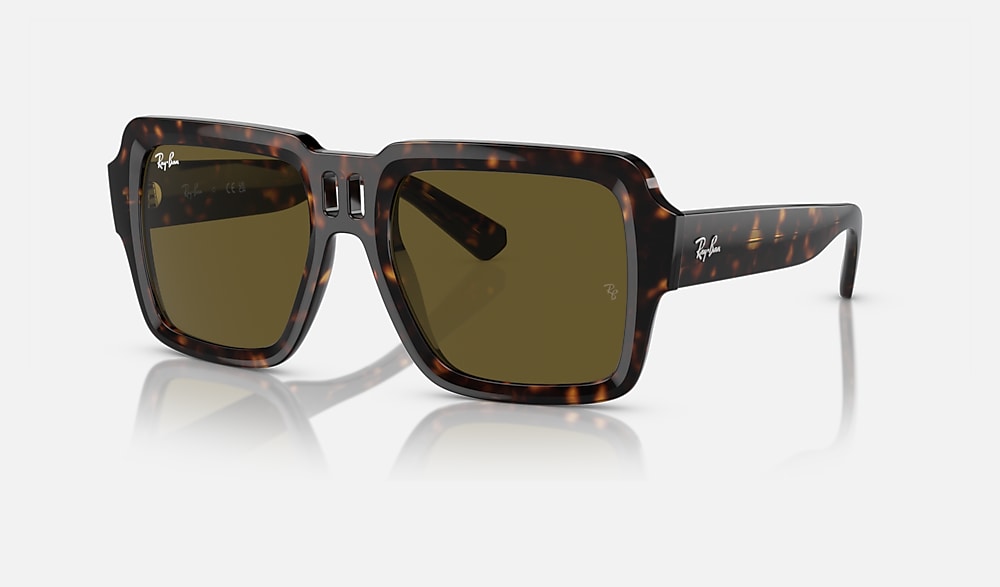 MAGELLAN BIO-BASED Sunglasses in Havana and Dark Brown