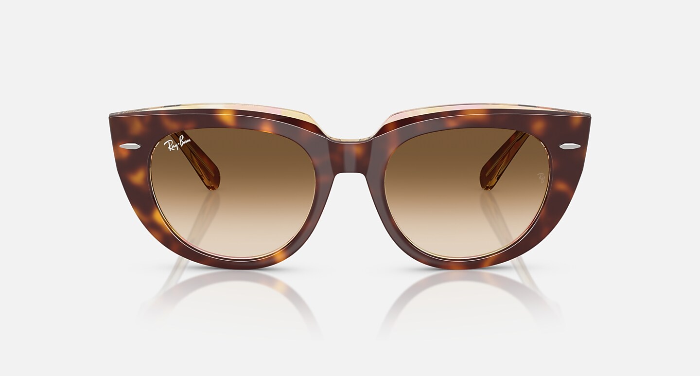 Ray-Ban Sunglasses Woman Doreen - Light Havana On Transparent Multicolor Frame Brown Lenses 52-20