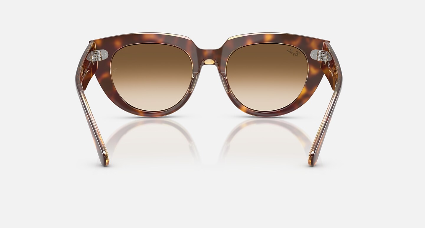 Ray-Ban Sunglasses Woman Doreen - Light Havana On Transparent Multicolor Frame Brown Lenses 52-20