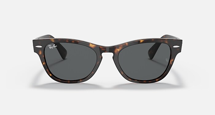Ray-Ban ララミー RB2201 RAY-BAN Laramie Sunglasses - RB2201 | eBay