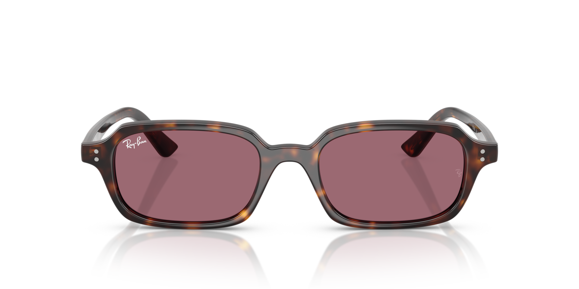 ZURI BIO-BASED LIMITED 2