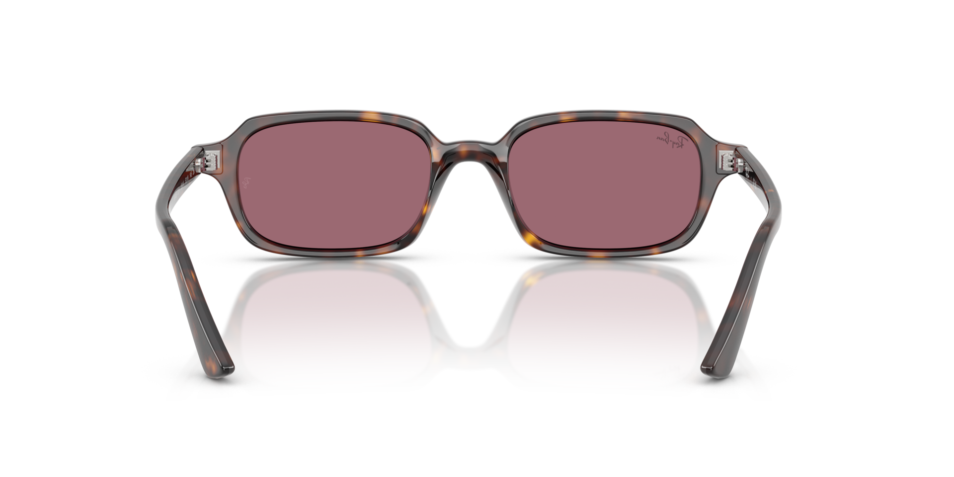ZURI BIO-BASED LIMITED 4