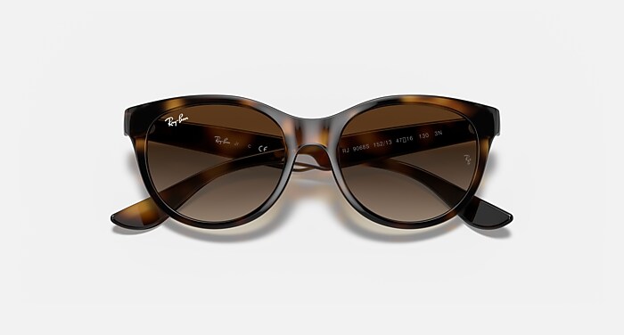 RB9068S KIDS Sunglasses in Havana and Dark Brown - RB9068S | Ray