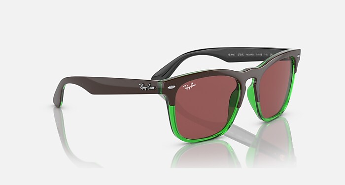Ray-Ban Steve サングラス ブラック/クリア CLUBMASTER WAY Sunglasses in Black On Silver and Grey