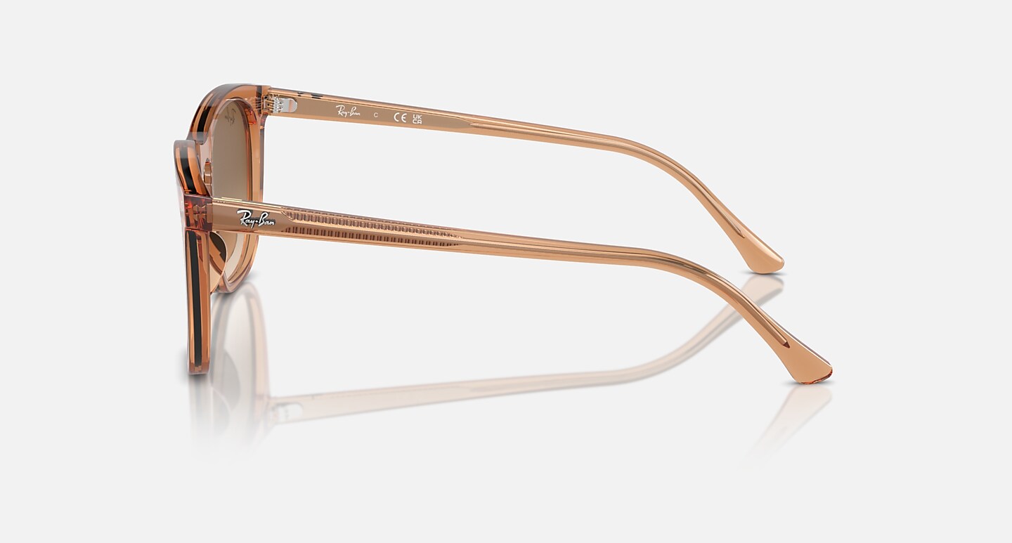 Ray-Ban Sunglasses Unisex Rb2210 - Transparent Brown Frame Brown Lenses 53-21